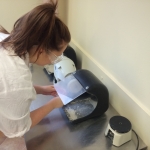 Pracownia dentystyczna